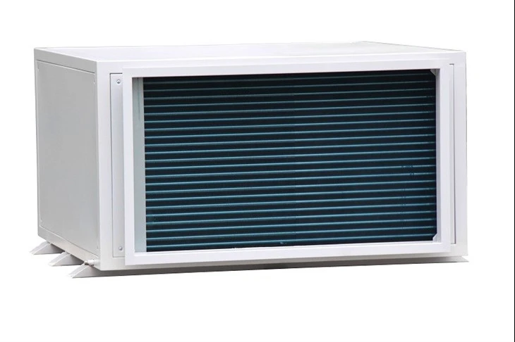 Ceiling Mounted Dehumidifier