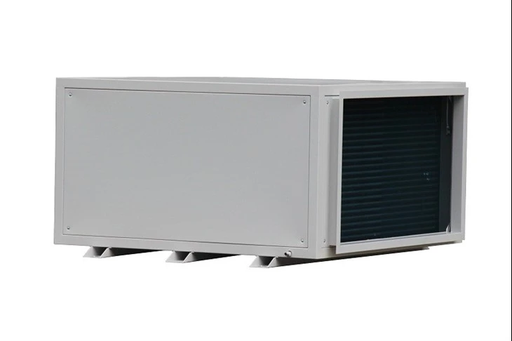 Ceiling Mounted Dehumidifier